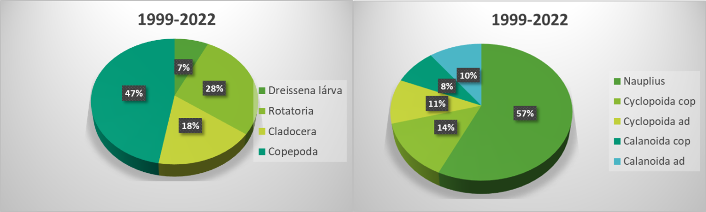 A zooplankton általános összetétele 1999 és 2022 között 