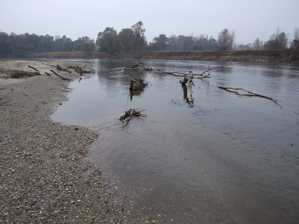 A természetes élőhely