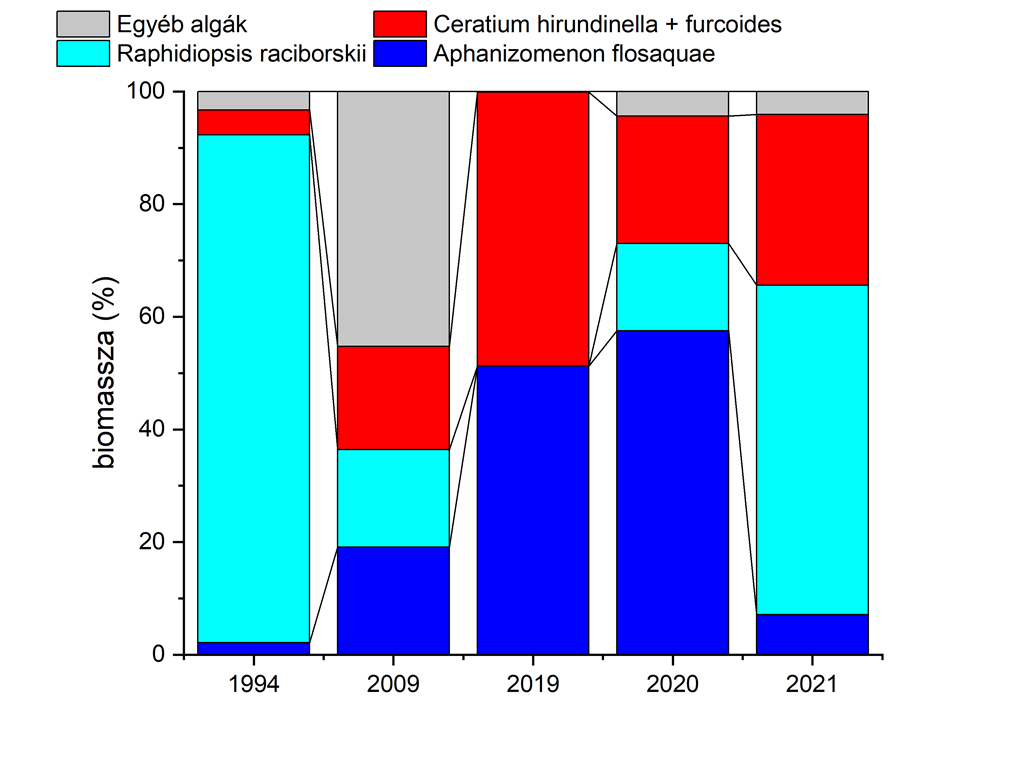 A nyári algacsúcs idején a fitoplankton összetétele a Keszthelyi-medencében 1994-ben, 2009-ben, 2019-ben és 2021-ben