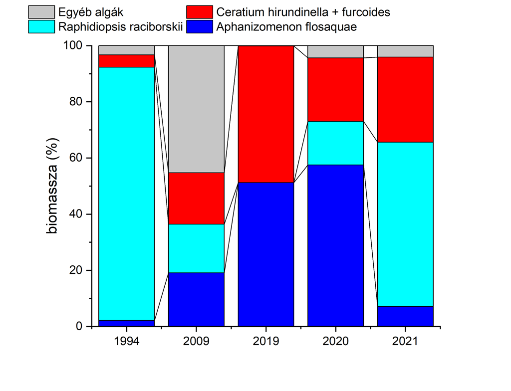  A nyári algacsúcs idején a fitoplankton összetétele a Keszthelyi-medencében 1994-ben, 2009-ben, 2019-ben és 2021-ben