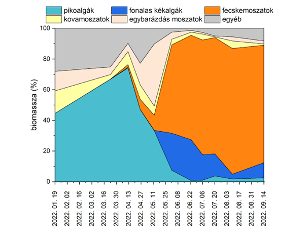 A fitoplankton összetétele Keszthely