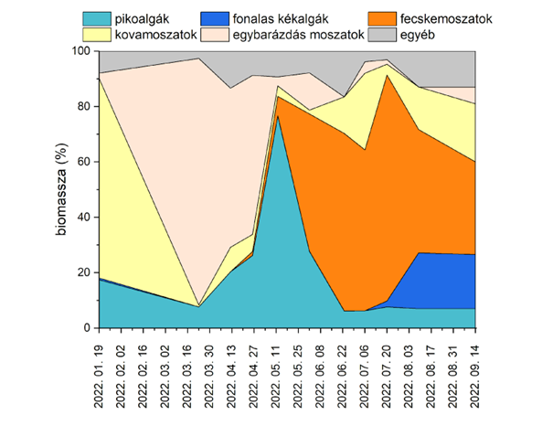 A fitoplankton összetétele Siófok