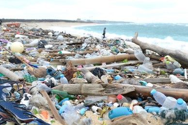 Eldobott műanyagok a környezetben (internetes forrás)