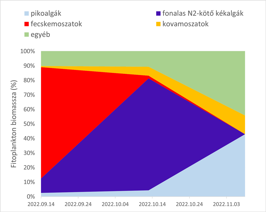 2. ábra A fitoplankton összetétele a Keszthelyi-medencében