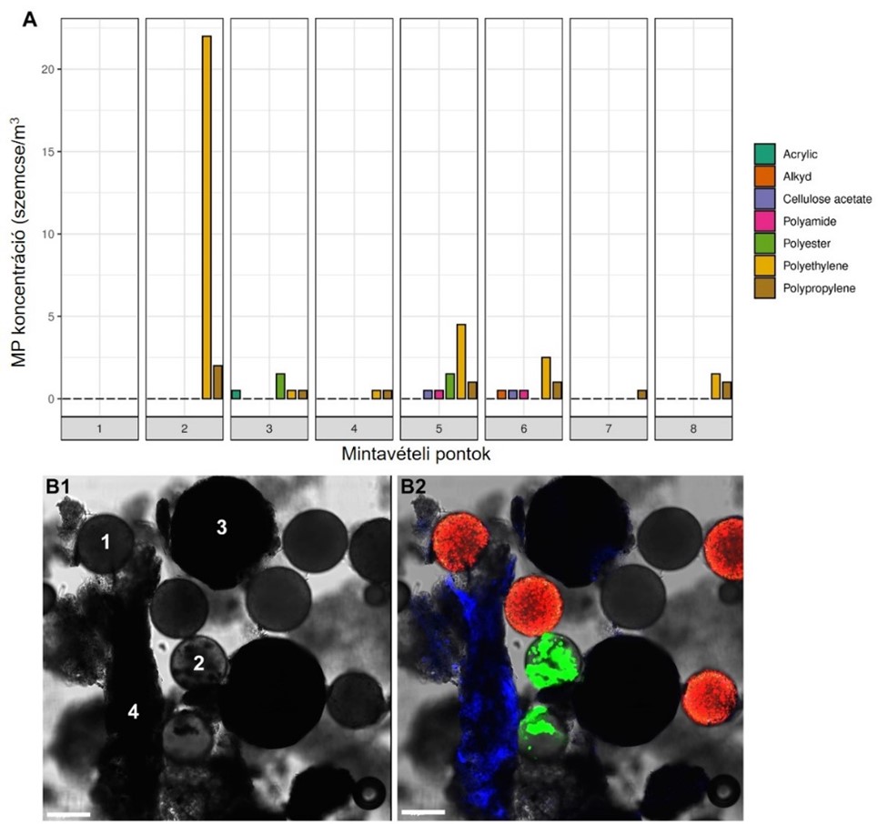 a MP szemcsék típus szerinti eloszlása az egyes mintavételi pontokon és a különböző típusú MP-ok mikroszkópos képe áteső fényű detektorban 