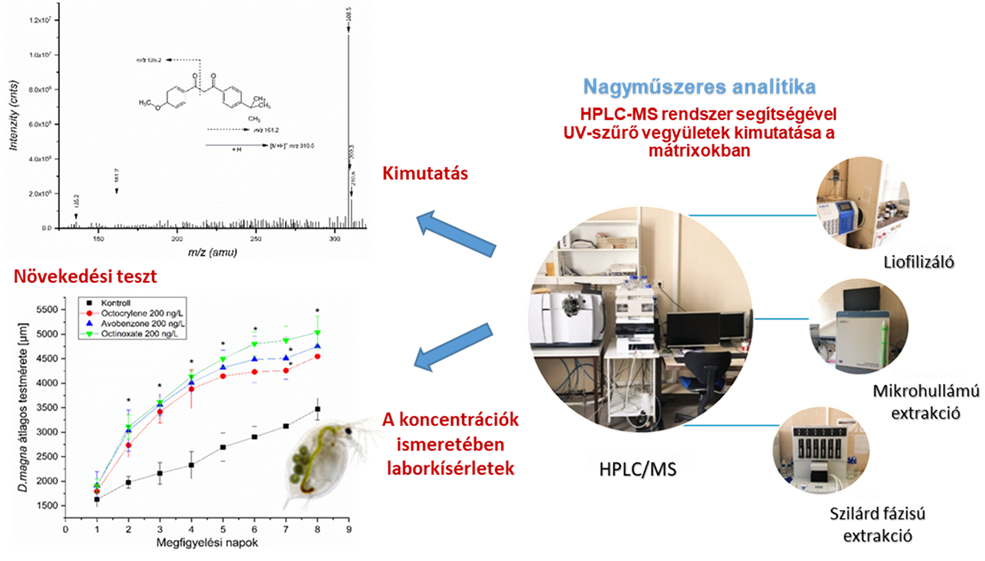 A szerves UV-szűrő vegyületek kimutatása és azonosítása a különböző környezeti mintákból, majd laborkísérletek elvégzése, pl. nagy vízibolha (D. magna) növekedési teszt. 