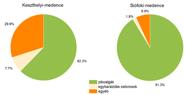 A fitoplankton összetétele a Keszthelyi- és a Siófoki-medencében 2025 februárjában