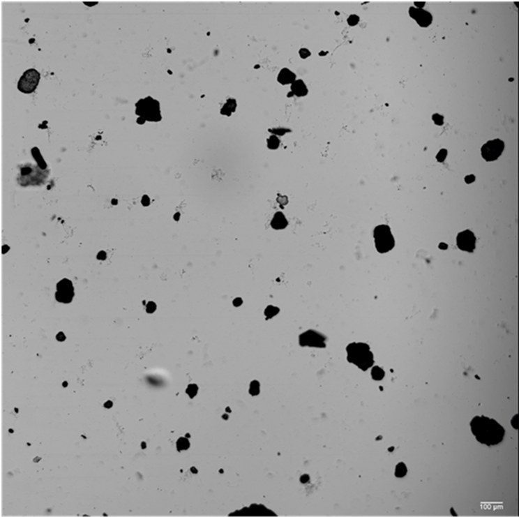 Fizikai aprózódás eredményeként létrejövő 100 µm-nél kisebb MP szemcsék fénymikroszkópos képe vizes közegben (saját felvétel)