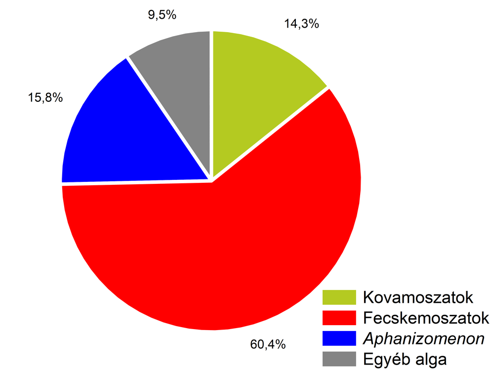 Az algaközösség összetétele a Keszthelyi-medence nyíltvizében