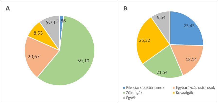 3. ábra. Az algaközösség összetétele a Keszthelyi-medence nyíltvizében 2023.02.21-én (A) és 2023. 04. 18-án (B)