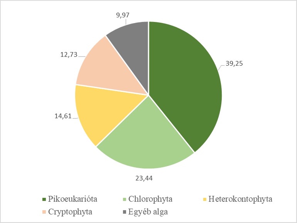 algaösszetétel