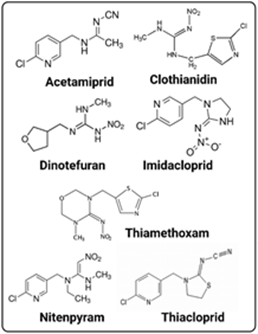 Neonikotinoid típusú hatóanyagok (internetes forrás)