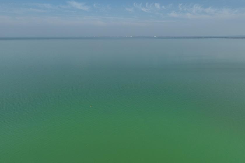 algás balaton