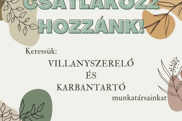 álláshirdetés