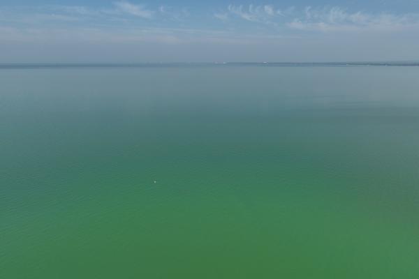 algás balaton