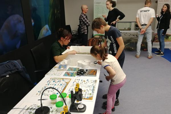 kép a workshopról