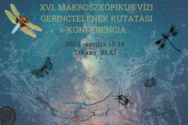 a konferencia plakátja