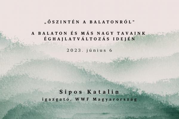 plakát őszintén a balatonról