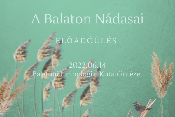 plakát a nádasok című podcast-hez