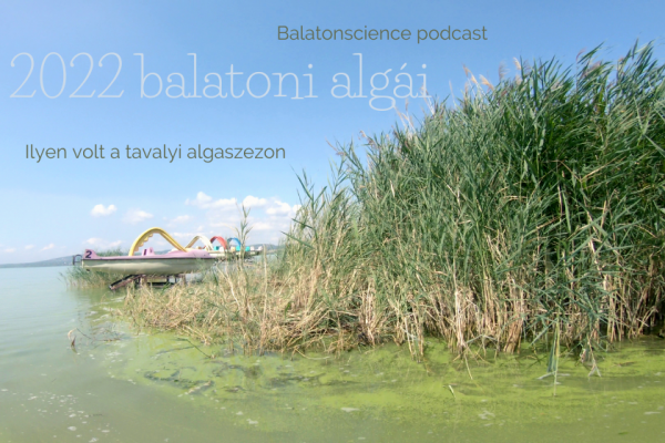 A képen algavirágzás látható