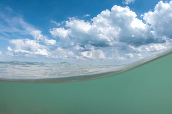 balaton