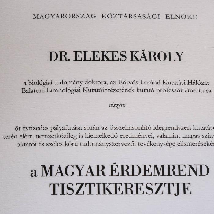 kitüntetés