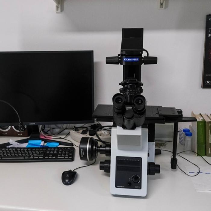 Olympus IX73 Invert Fordított mikroszkóp fáziskontraszt optikával