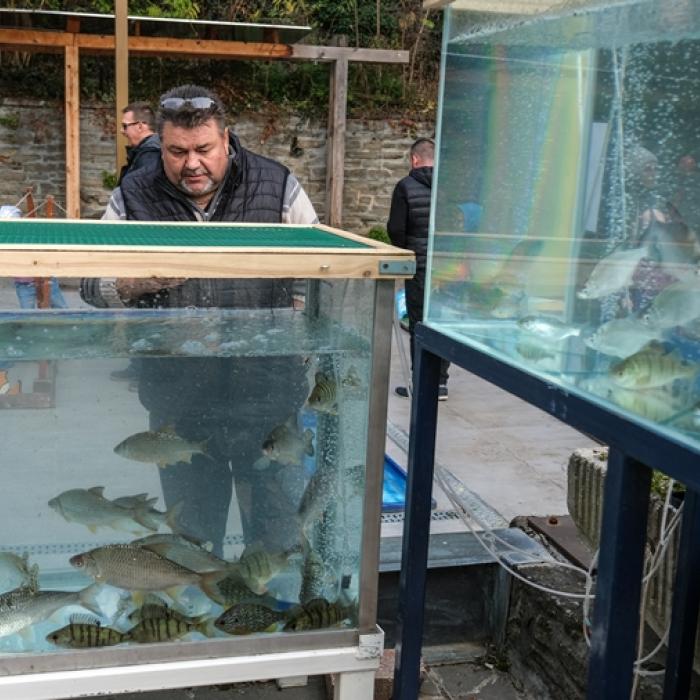 garda_hangulatok