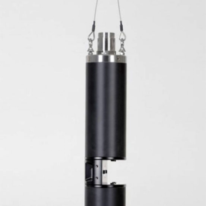 (bbe Moldaenke) PhycoProbe 
