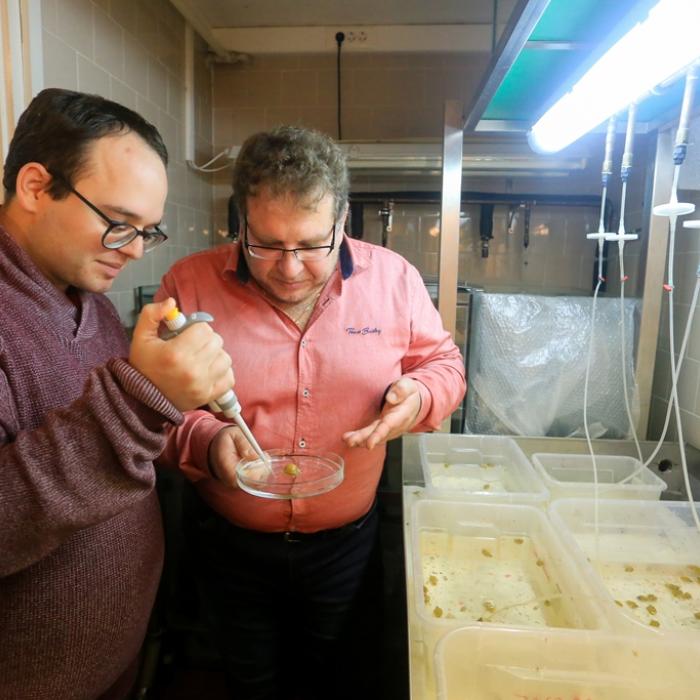 Fodor István és Pirger Zsolt